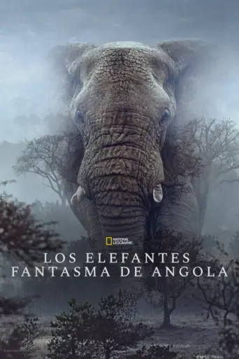 Los elefantes fantasma de Angola