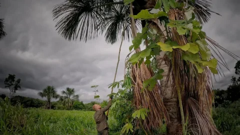 Episodio 12