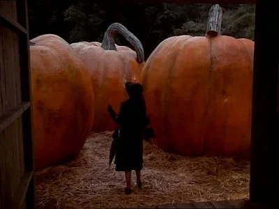 El concurso de calabazas