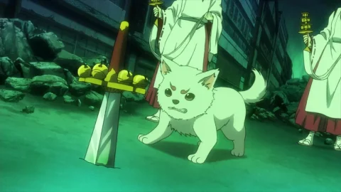 Episodio 5