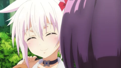 Amigas