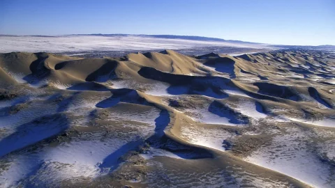 Desiertos
