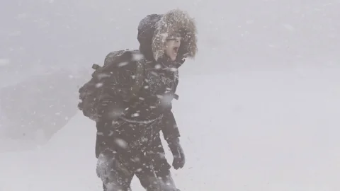 Alborismo polar