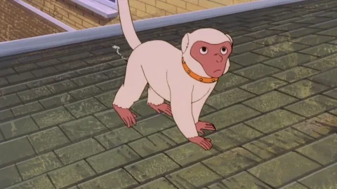 Episodio 31