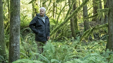 Si un ciervo caga en el bosque