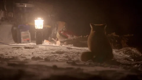 Episodio 4