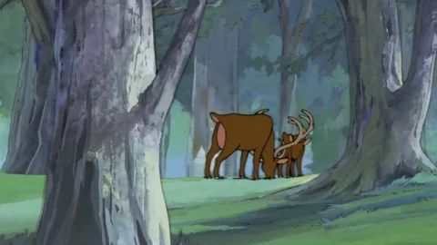 Una excursion al bosque
