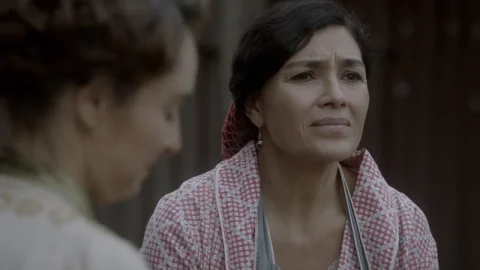 La jaula del palomo
