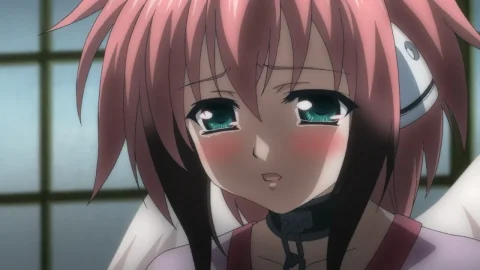 Episodio 11