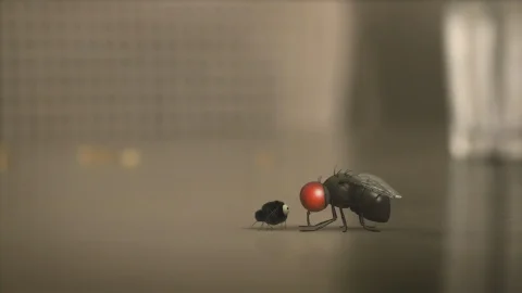 Episodio 10