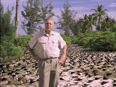 Episodio 8
