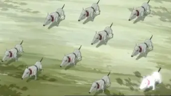 Un dilema de perros