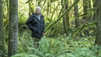 Si un ciervo caga en el bosque