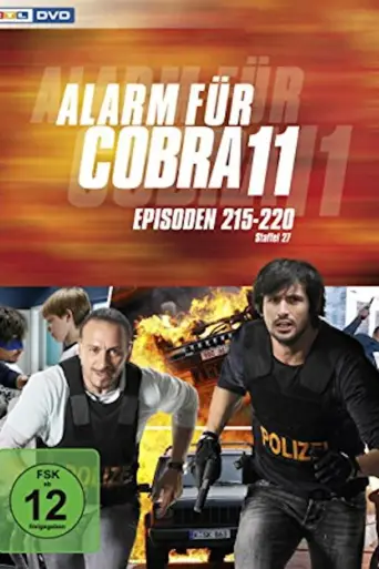 Temporada 29