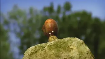 Episodio 33